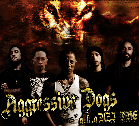 AGGRESSIVE DOGS
